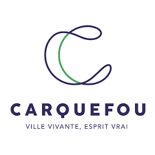 Dépannage onduleur photovoltaïque à Carquefou