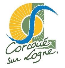 Dépannage onduleur photovoltaïque à Corcoué sur Logne