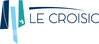 Dépannage onduleur photovoltaïque à Le Croisic