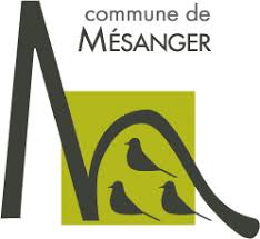 Dépannage onduleur photovoltaïque à Mésanger