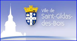 Dépannage onduleur photovoltaïque à Saint Gildas des Bois