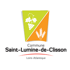 Dépannage onduleur photovoltaïque à Saint Lumine de Clisson