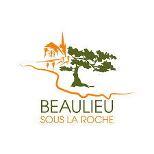 Dépannage onduleur photovoltaïque à Beaulieu Sous la Roche