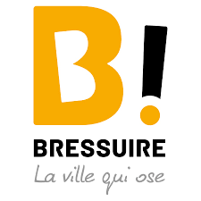 Dépannage de votre onduleur photovoltaïque à Bressuire