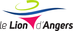 Dépannage de votre onduleur photovoltaïque à Le Lion d'Angers