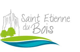 Dépannage de votre onduleur photovoltaïque à Saint Etienne du Bois