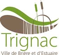Dépannage onduleur photovoltaïque à Trignac