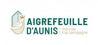 Dépannage de votre onduleur photovoltaïque à Aigrefeuille d'Aunis