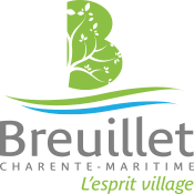 Dépannage de votre onduleur photovoltaïque à Breuillet