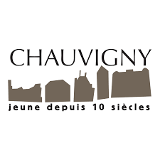 Dépannage de votre onduleur photovoltaïque à Chauvigny