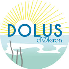 Dépannage de votre onduleur photovoltaïque à Dolus d'Oléron