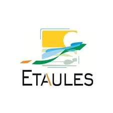 Dépannage de votre onduleur photovoltaïque à Etaules
