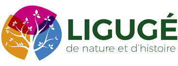 Dépannage de votre onduleur photovoltaïque à Ligugé