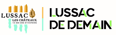 Dépannage de votre onduleur photovoltaïque à Lussac les Châteaux
