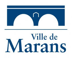 Dépannage de votre onduleur photovoltaïque à Marans