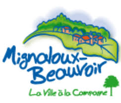 Dépannage de votre onduleur photovoltaïque à Mignaloux Beauvoir
