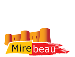 Dépannage de votre onduleur photovoltaïque à Mirebeau