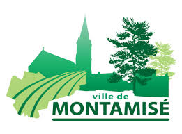 Dépannage de votre onduleur photovoltaïque à Montamisé