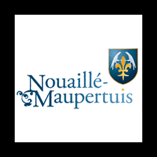 Dépannage de votre onduleur photovoltaïque à Nouaillé Maupertuis