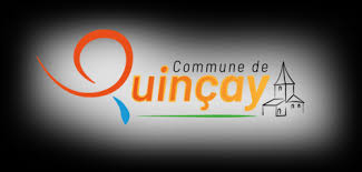 Dépannage de votre onduleur photovoltaïque à Quinçay