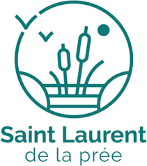 Dépannage de votre onduleur photovoltaïque à Saint Laurent de la Prée