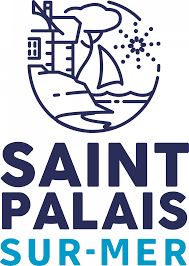 Dépannage de votre onduleur photovoltaïque à Saint Palais sur Mer