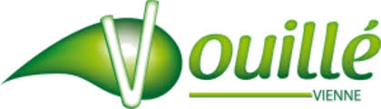 Dépannage de votre onduleur photovoltaïque à Vouillé